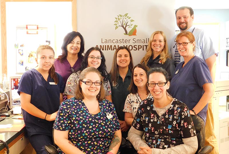 Bowmansville NY Pet Hospital