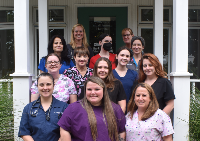 Carousel Slide 4: Staff Picture